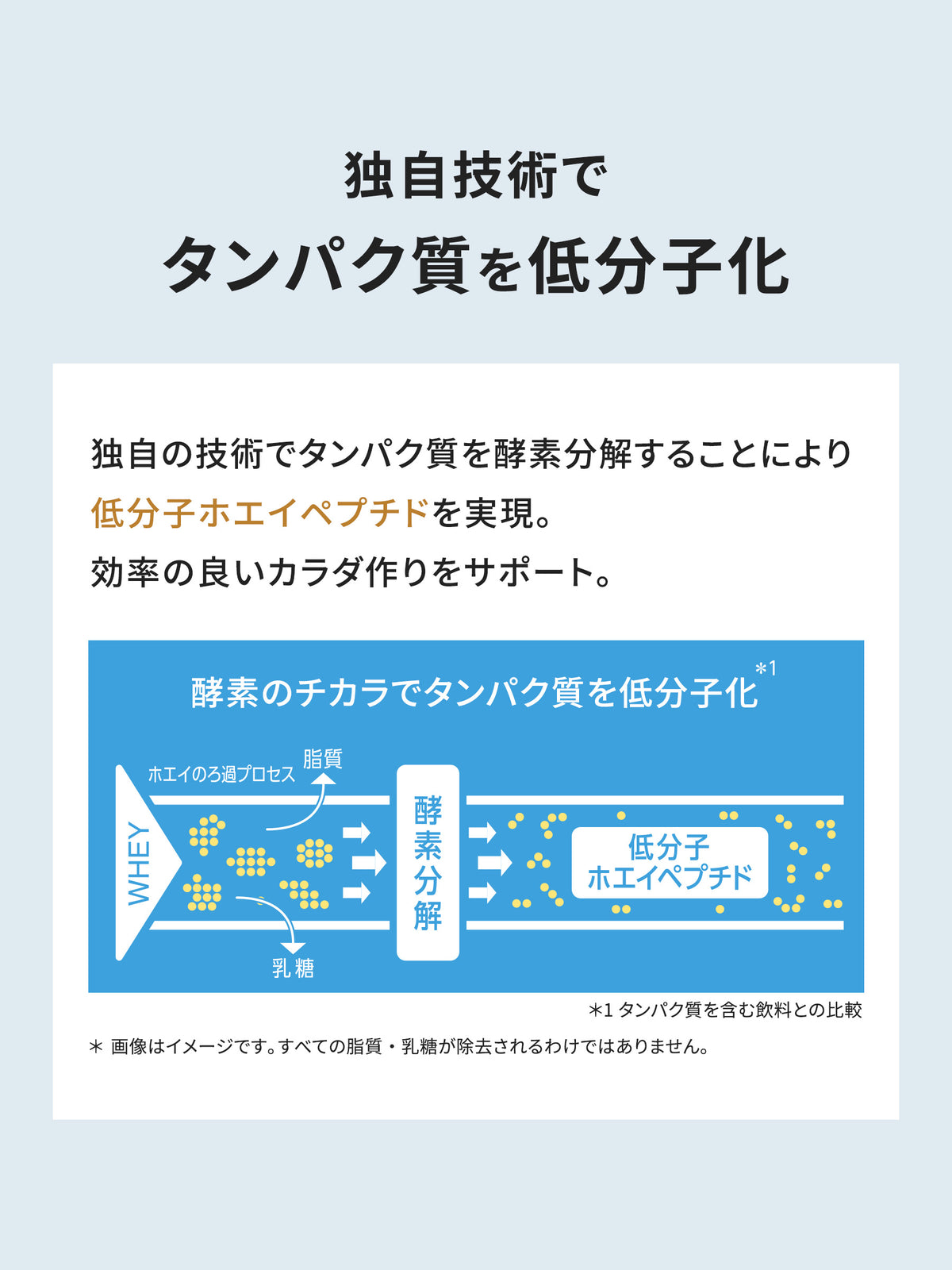 チョコレート味 1KG 高吸収プロテイン クレバー