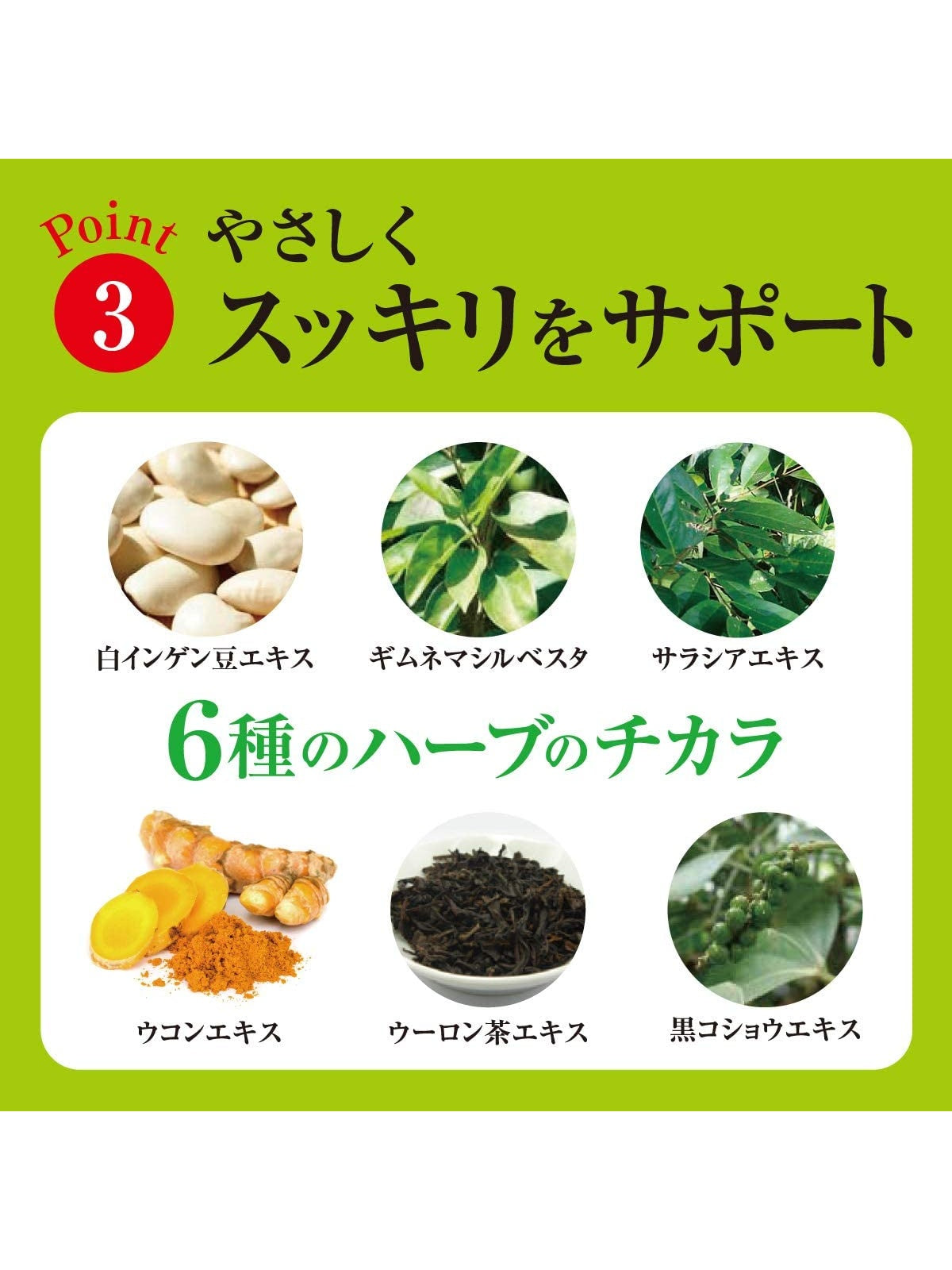 サプリメント ホッ とぱっくん分解酵母 スベルティ 56粒