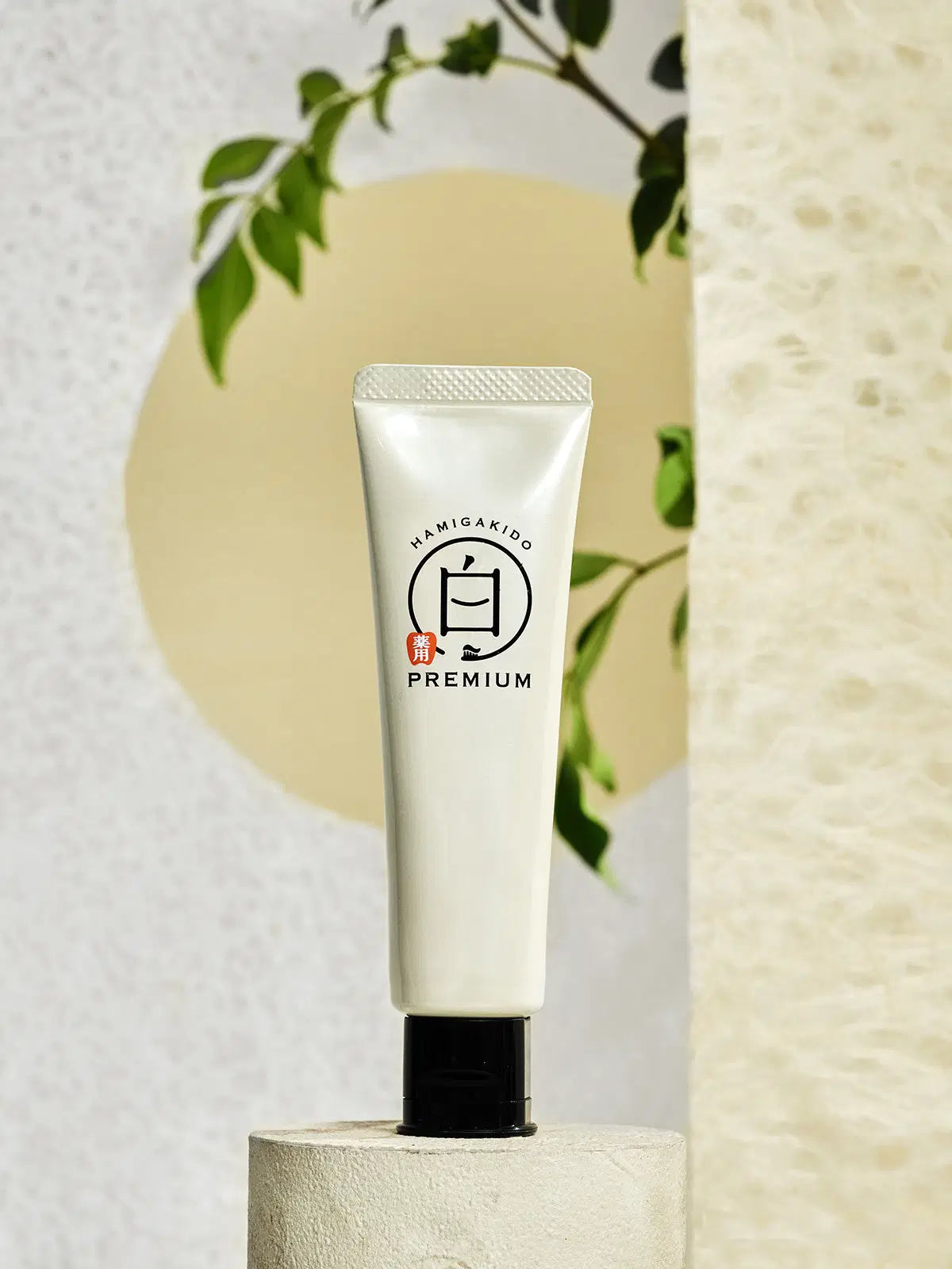 【医薬部外品】薬用ホワイトニング ペースト プレミアム 歯磨き堂 60G