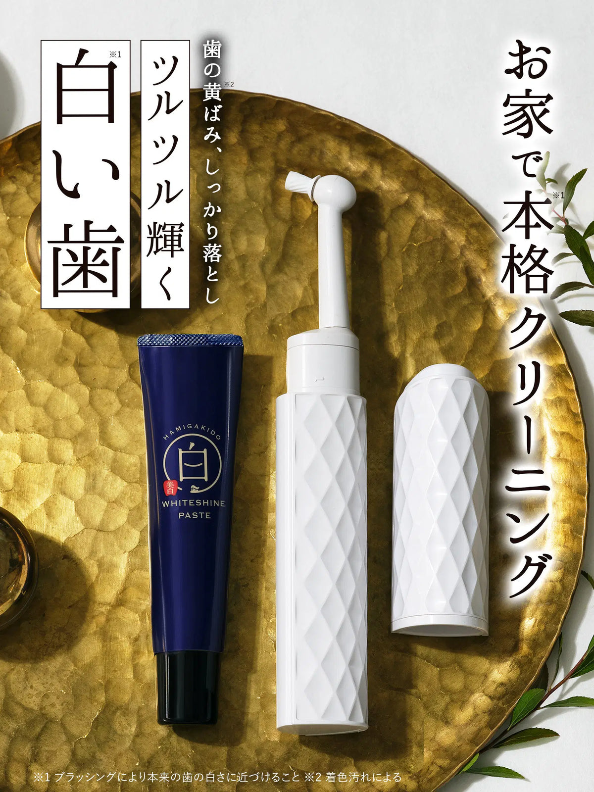 ホワイトシャインペースト 歯磨き堂 30G