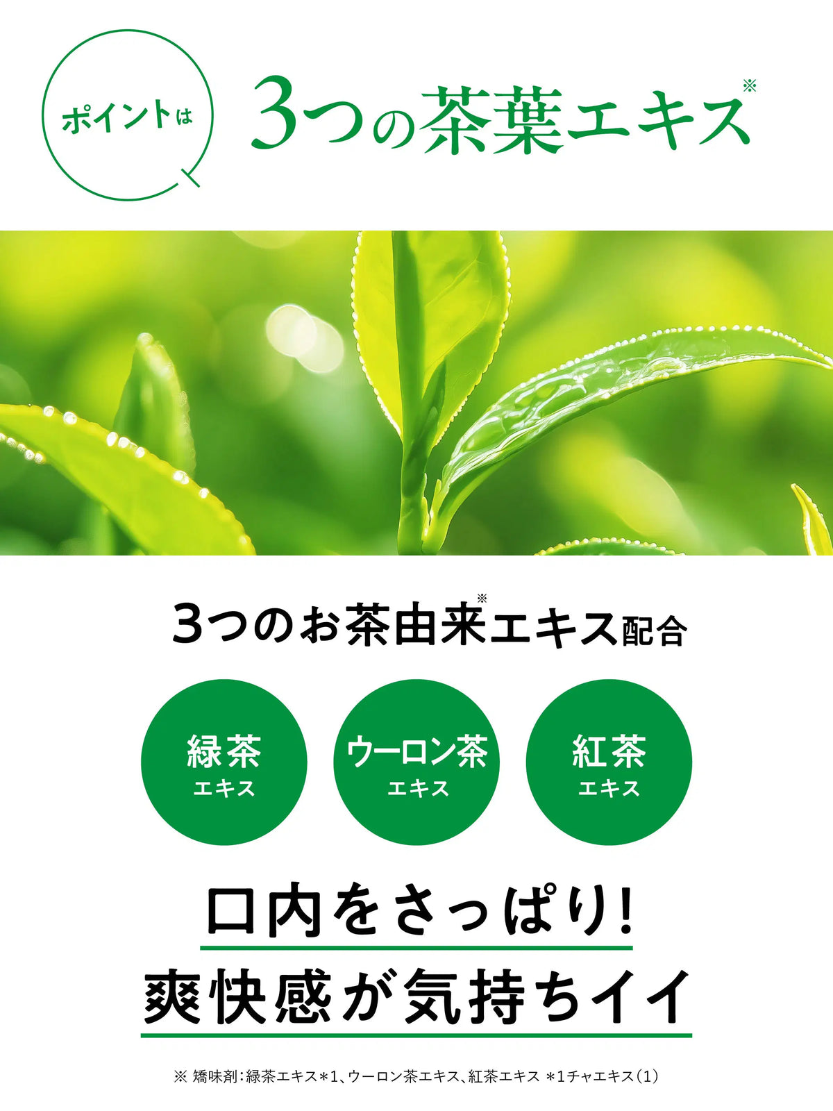 薬用フレッシュペースト【医薬部外品】60g 歯磨き堂