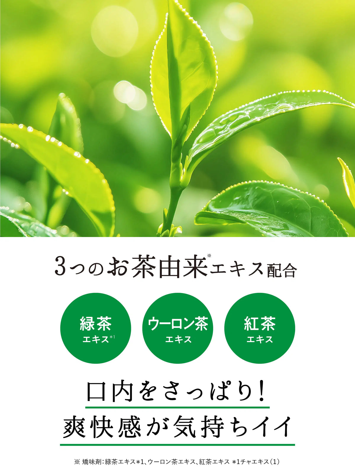薬用フレッシュペースト スーパーミント【医薬部外品】60g 歯磨き堂