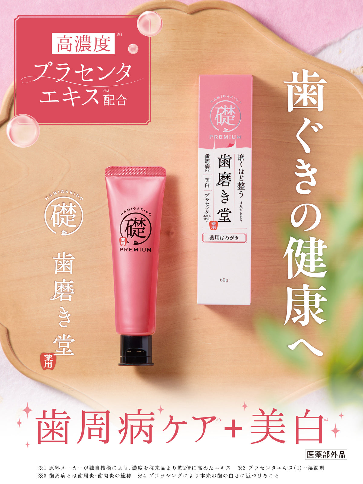 薬用ハグキデンタルペースト【医薬部外品】 60G 歯磨き堂
