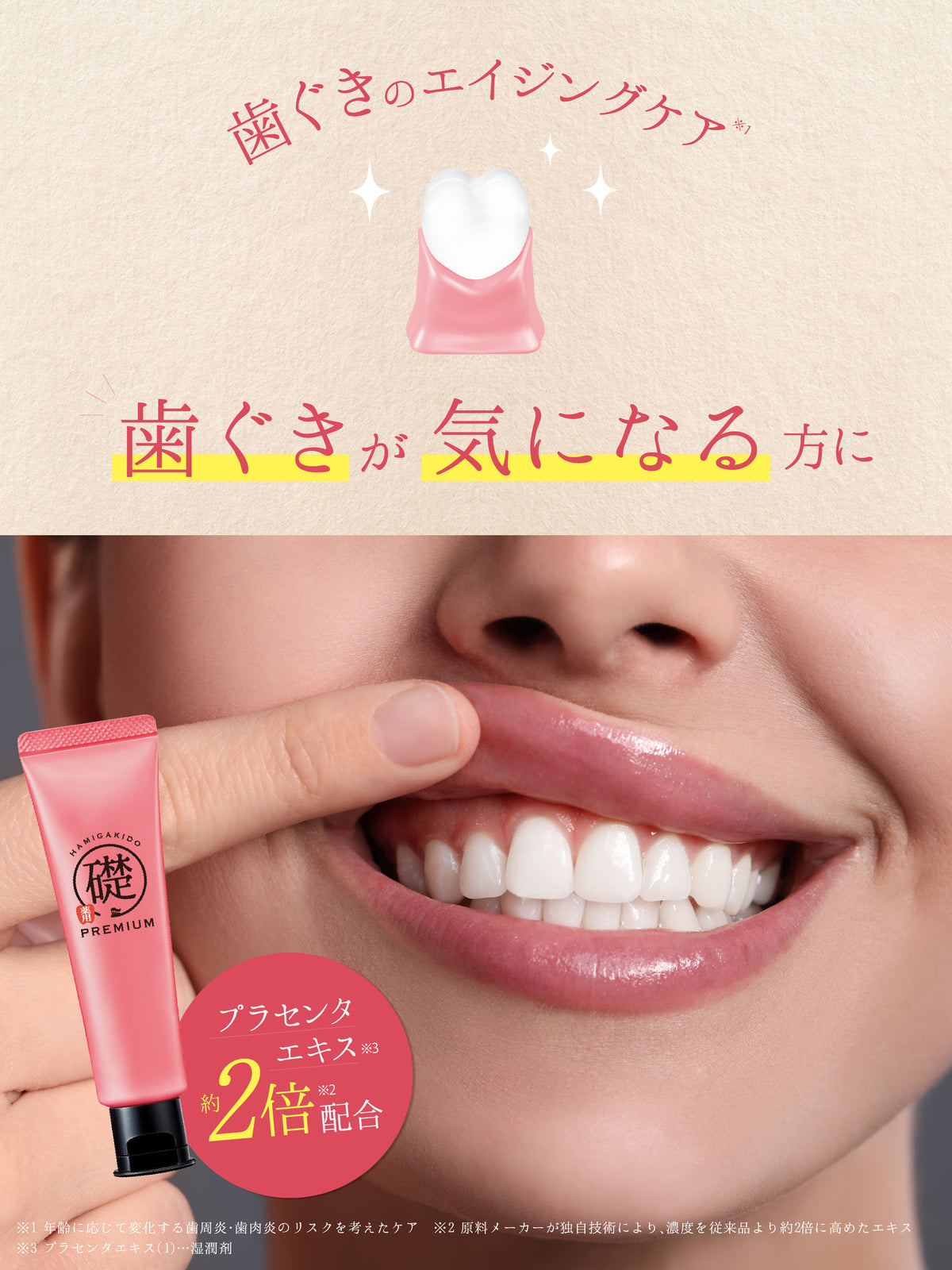 薬用ハグキデンタルペースト【医薬部外品】 60G 歯磨き堂
