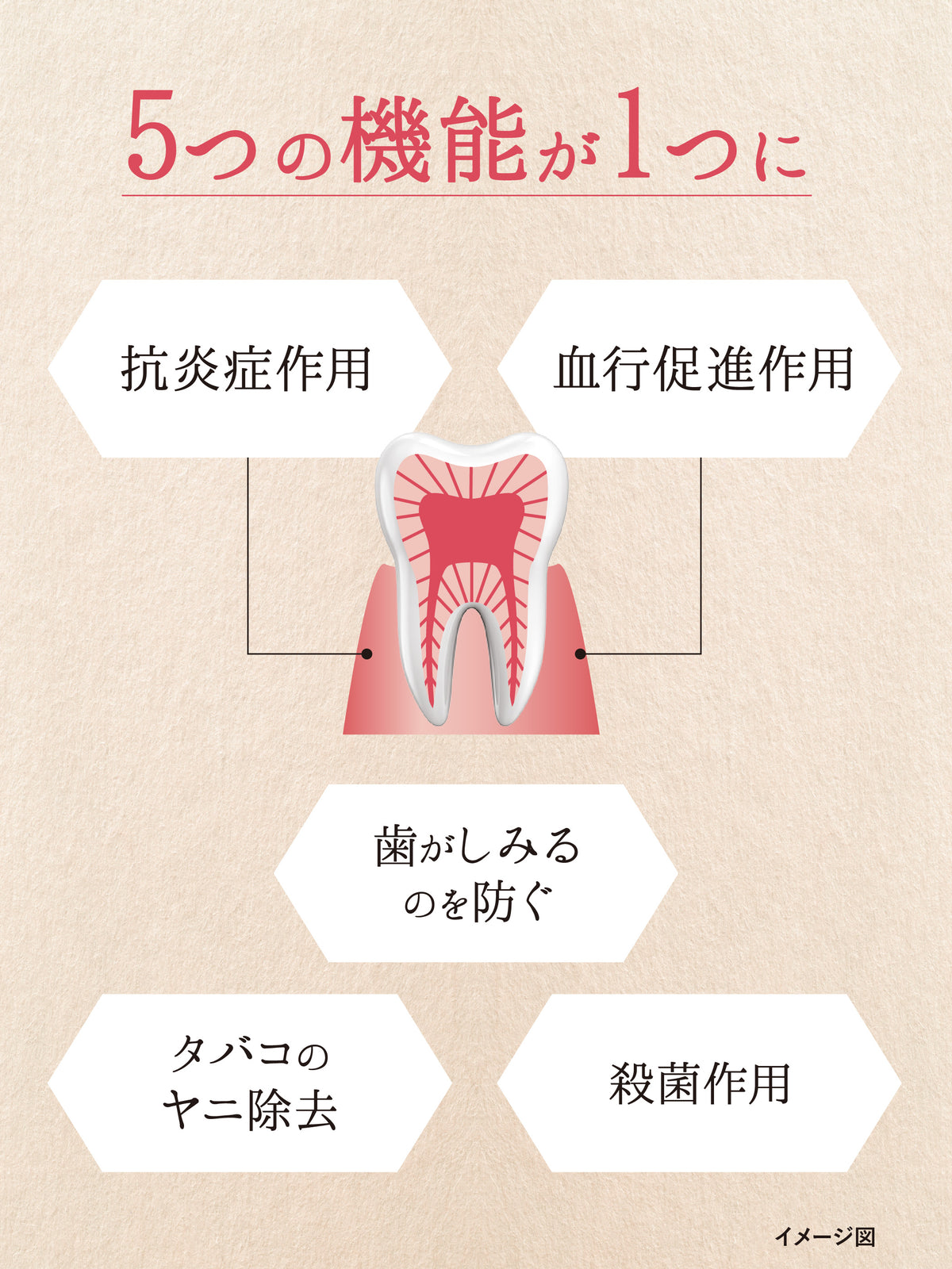 薬用ハグキデンタルペースト【医薬部外品】 60G 歯磨き堂
