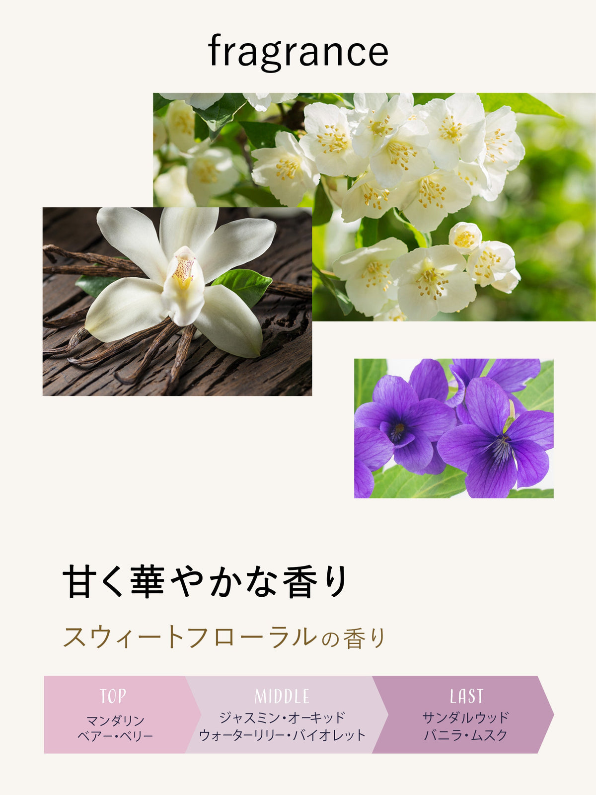 柔軟剤洗剤 スウィートフローラル ラボン 850g