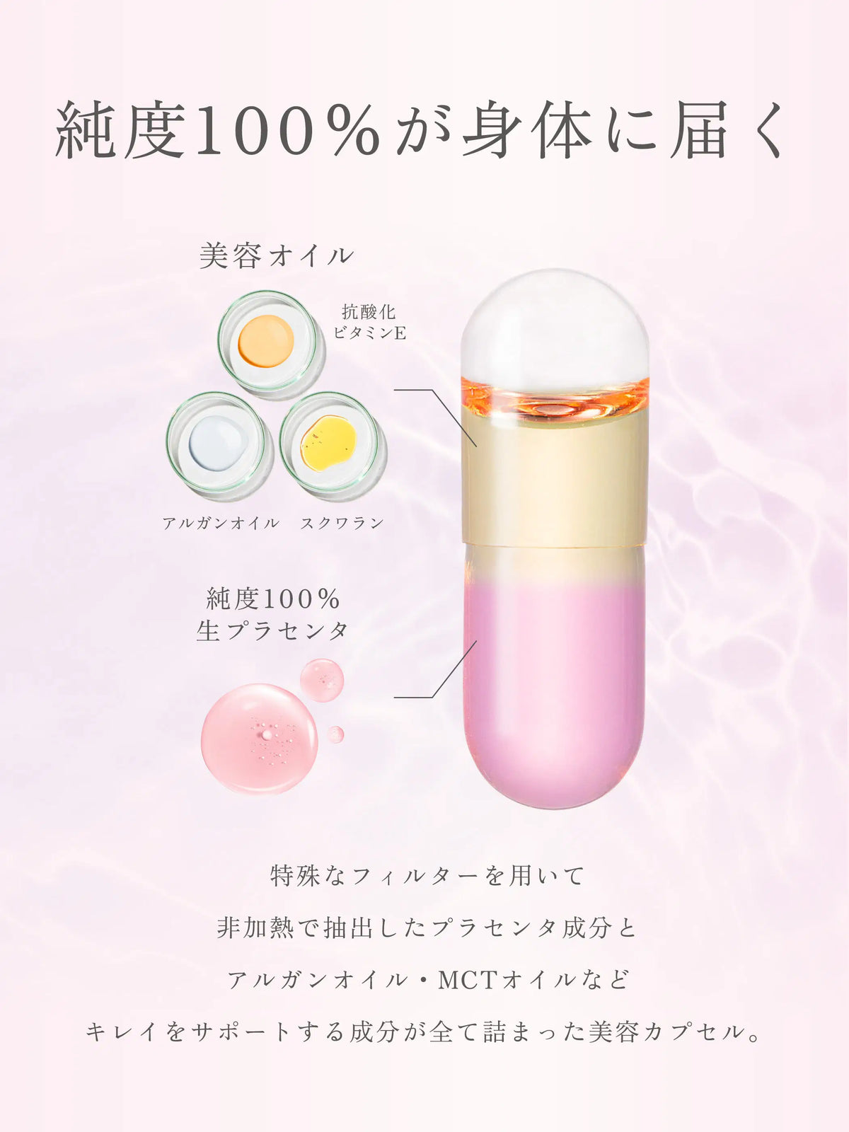 フィート ブライト プラセンタ エクソソーム【栄養機能食品 (ビタミンE)】 30粒 feat.