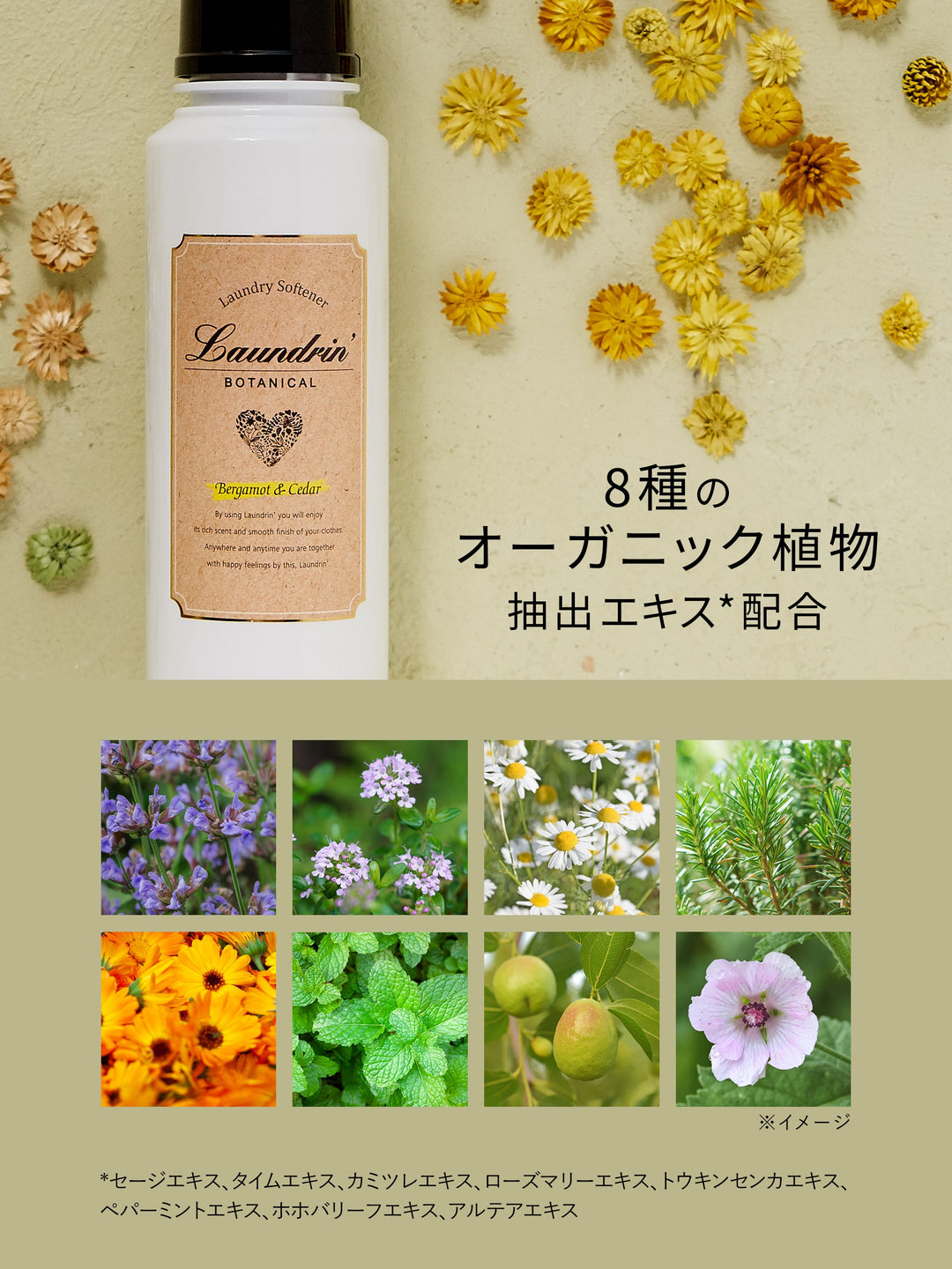 柔軟剤 ベルガモット＆シダー ランドリン ボタニカル 500mL