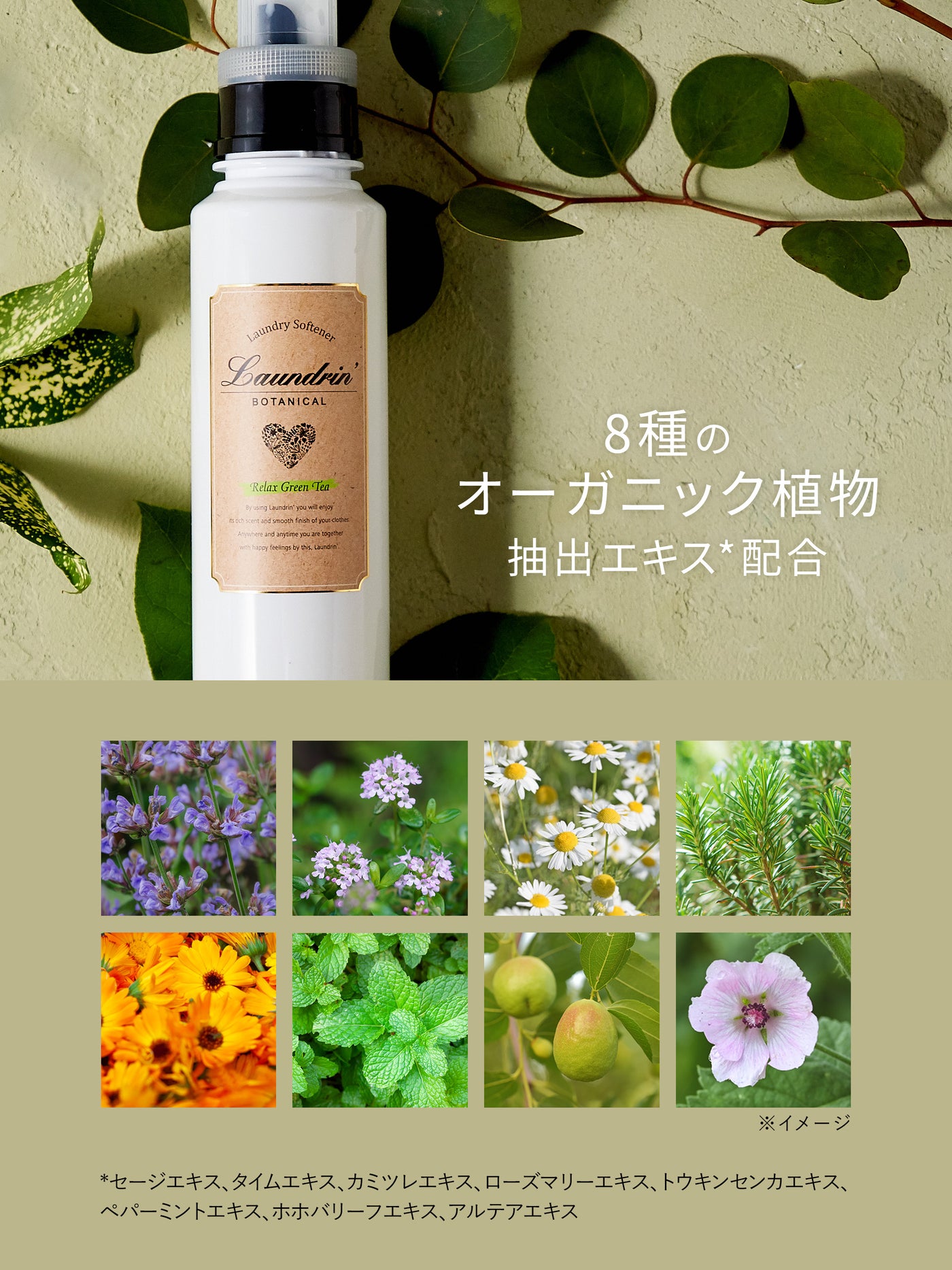 柔軟剤 詰替 リラックスグリーンティー ランドリン ボタニカル 430mL