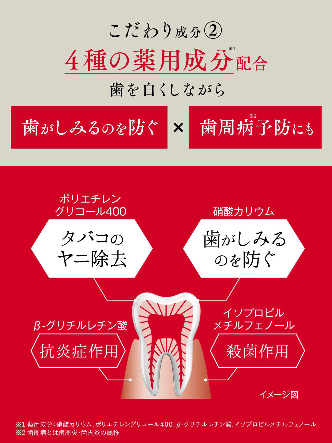 【医薬部外品】薬用ホワイトニング ペースト 歯磨き堂 90G