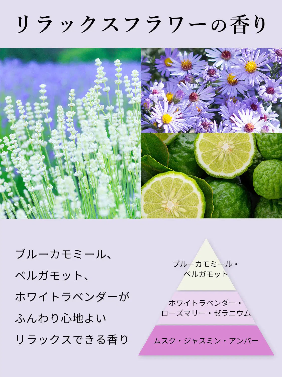シャンプー [ハリコシ潤い] リラックスフラワーの香り ボズレー 400mL