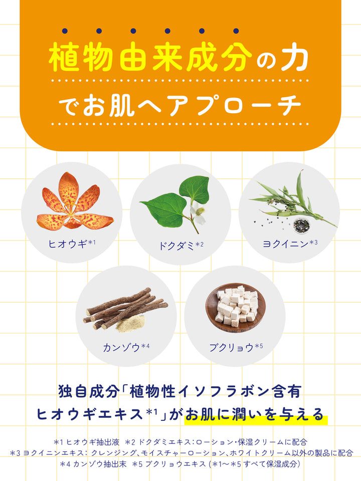 医薬部外品】薬用 ローション [思春期用] アクネスラボ 150mL