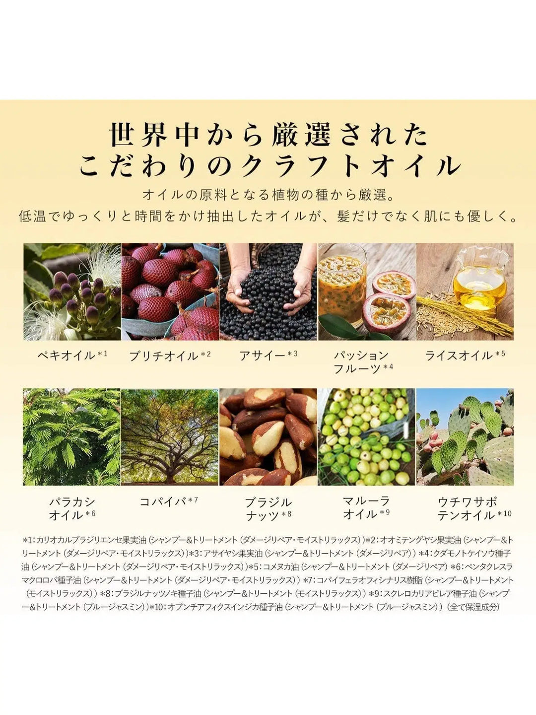 シャンプー＆トリートメント [ダメージリペア＆シャイン] ブルージャスミンの香り ダイアンボヌール 500mL×2