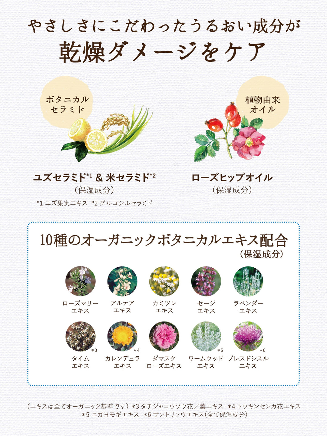 ボディミルク [敏感肌にもやさしい] フルーティピュアサボンの香り ダイアンボタニカル 500mL