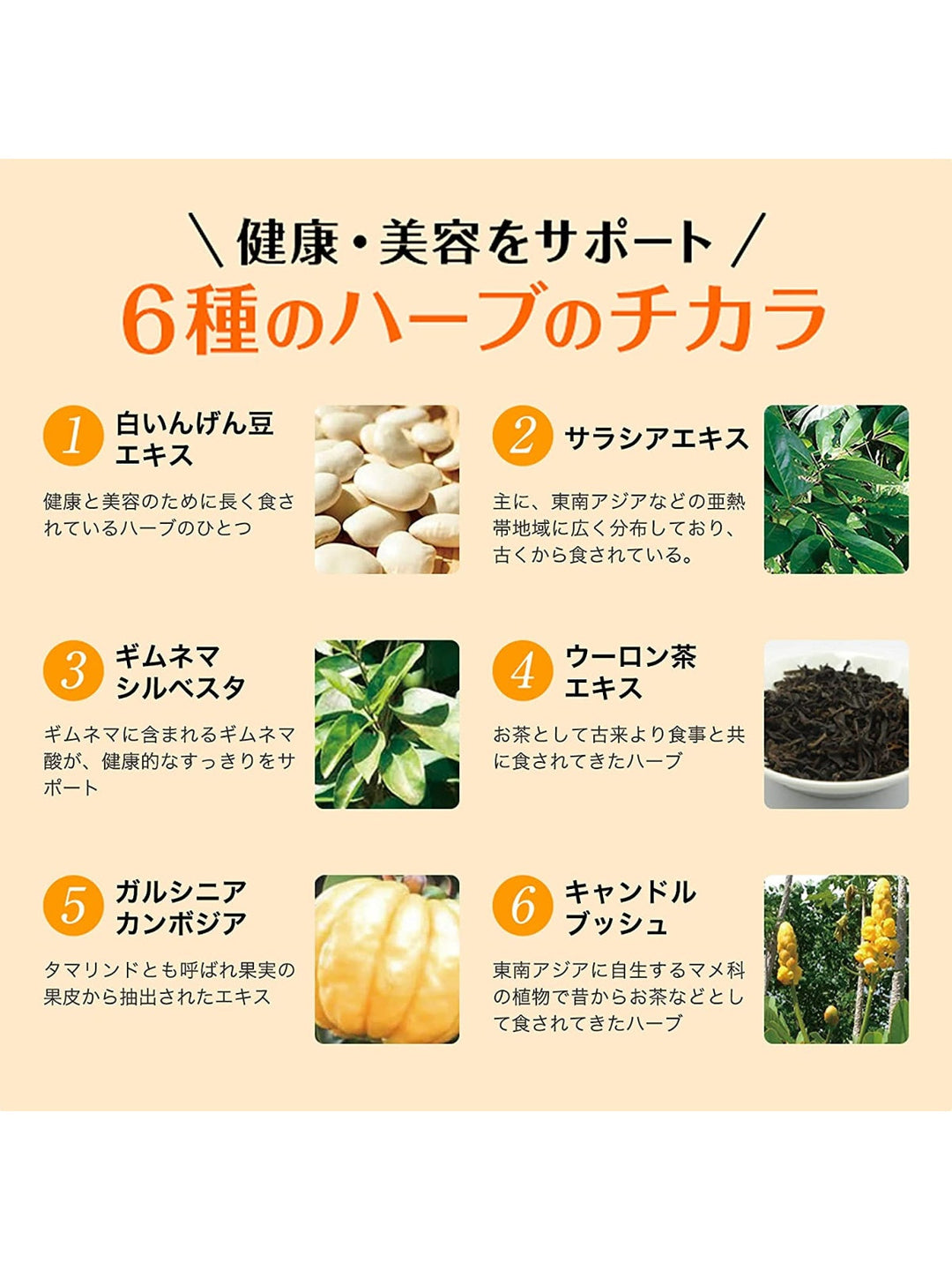 サプリメント ぱっくん分解酵母 スベルティ 56粒 - NatureLab Store