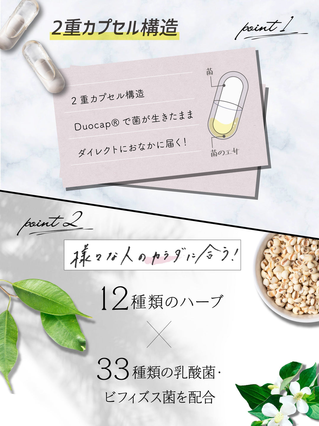 サプリメント [菌活 2層カプセル] スマート菌スーパー スベルティ 30粒