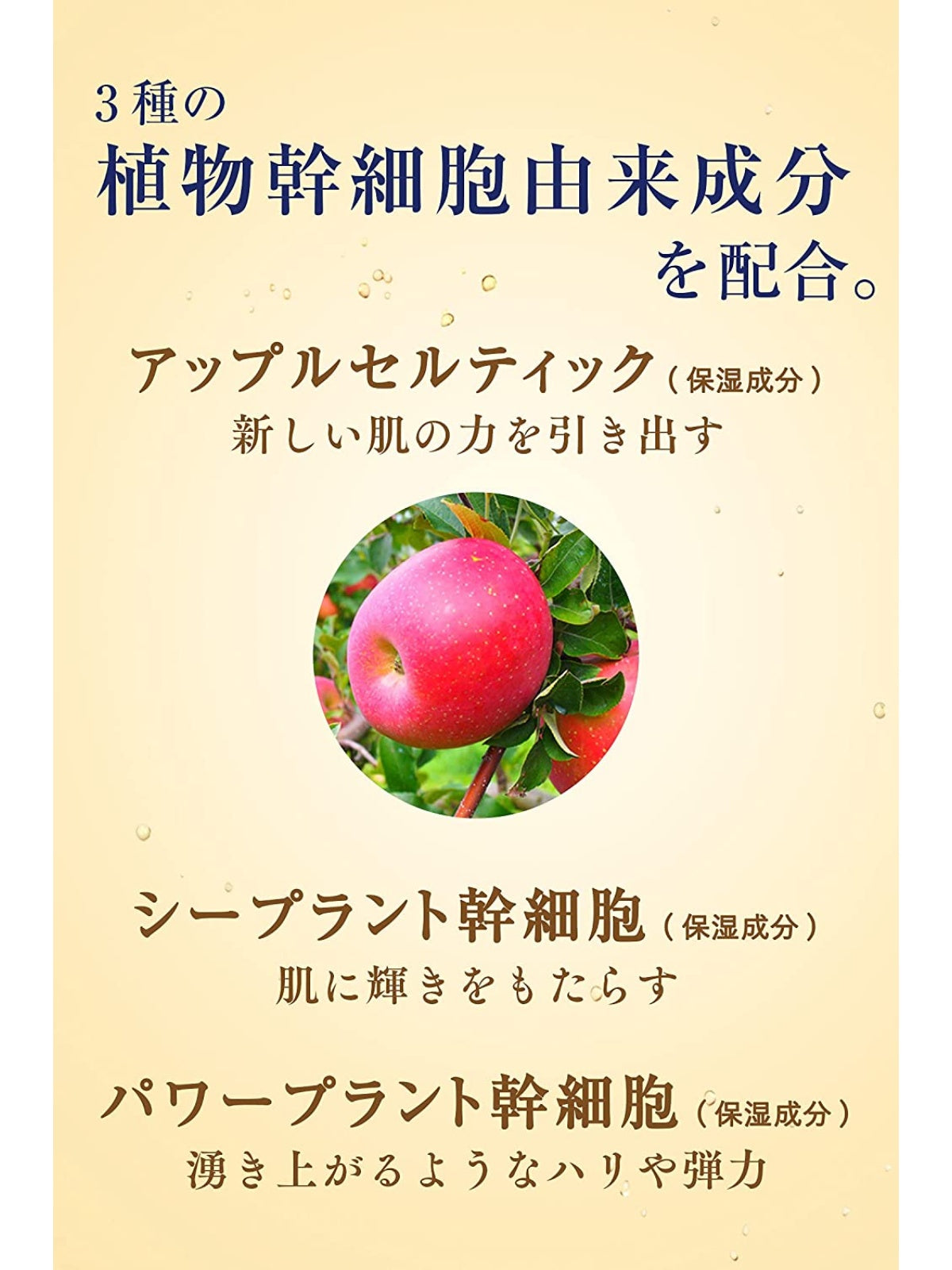 クレンジングジェル [W洗顔不要] リッツ リバイバル 150g
