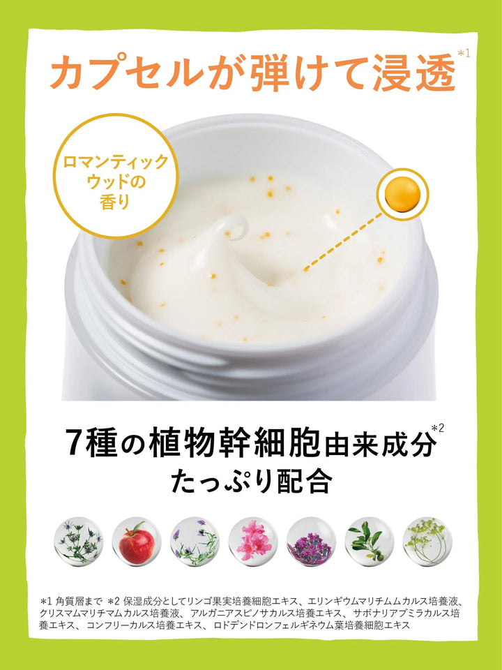 フェイスクリーム [7つの悩みに] リッツ リバイバル ステム7 詰替 50g