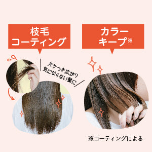 トリートメント [カラーキープ&ダメージ補修] シャイニー