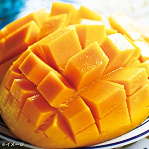ドライシャンプー [水のいらないシャンプー] フレッシュマンゴー