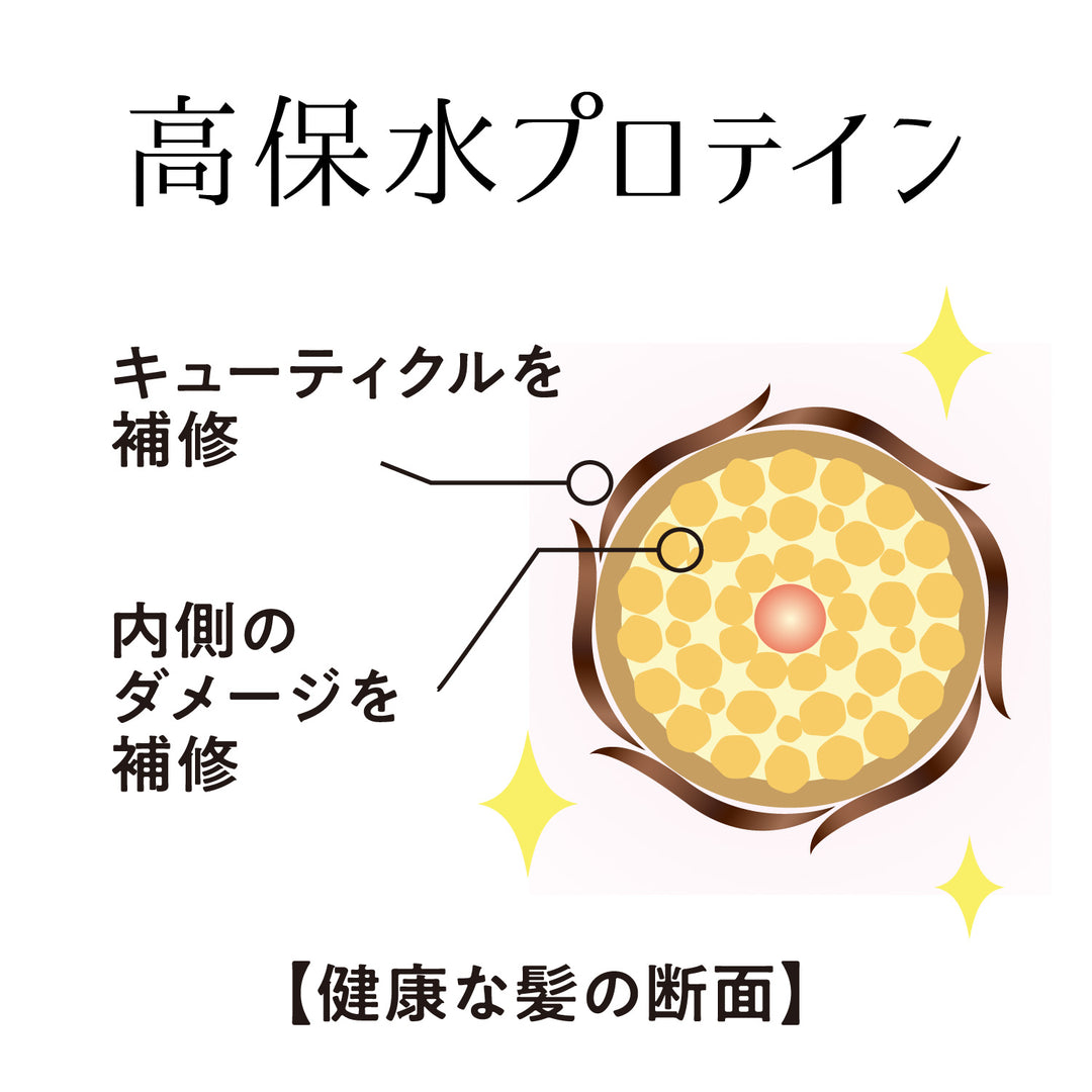 高保水プロテインがしなやかでまとまる髪に