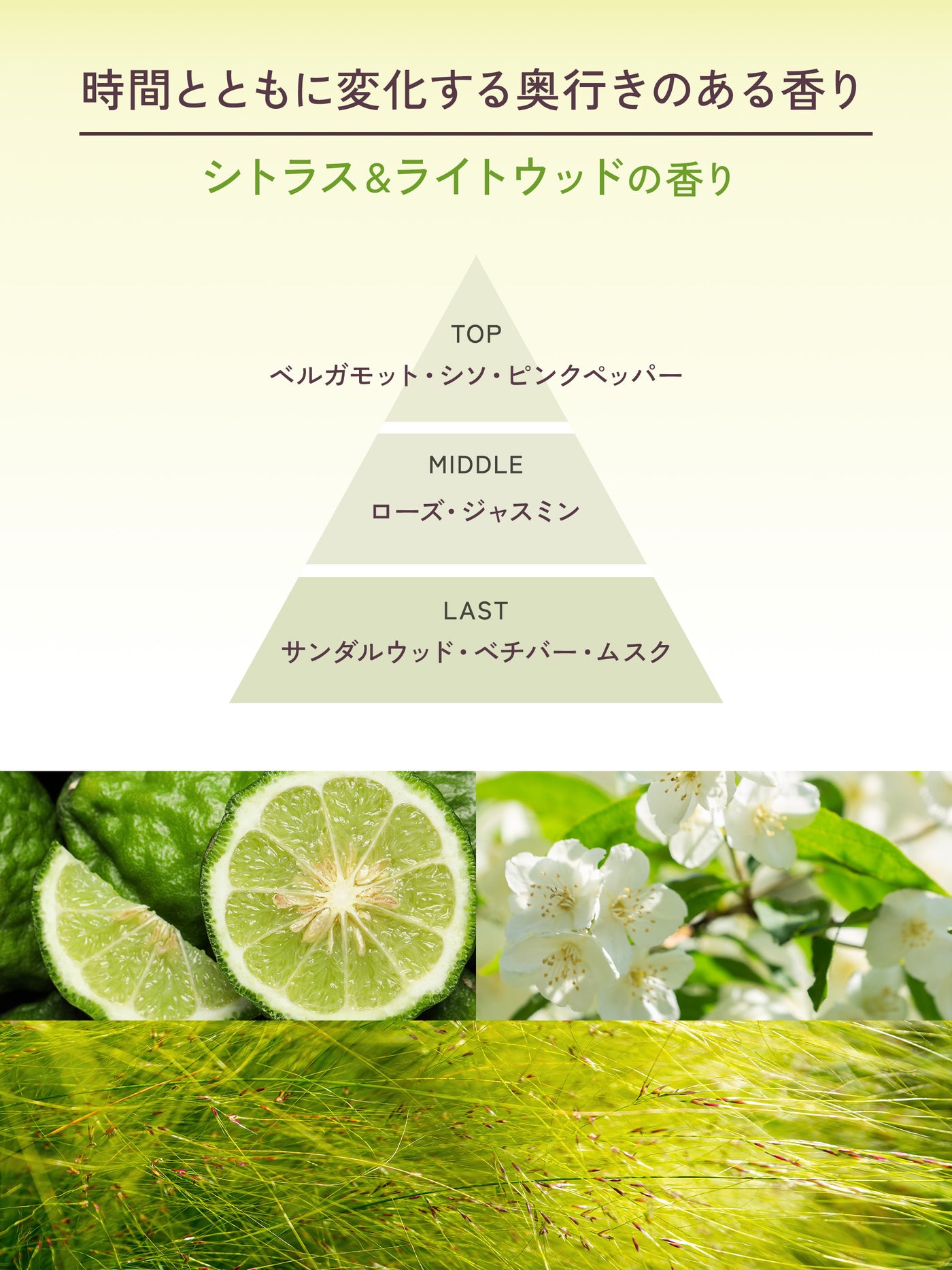 ロータス フレグランスオイル シトラス＆ライトウッドの香り  80ML  ダイアン パーフェクトビューティー