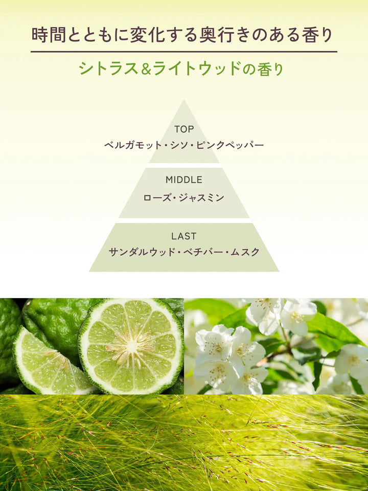 ロータス フレグランスオイル シトラス＆ライトウッドの香り 80ML