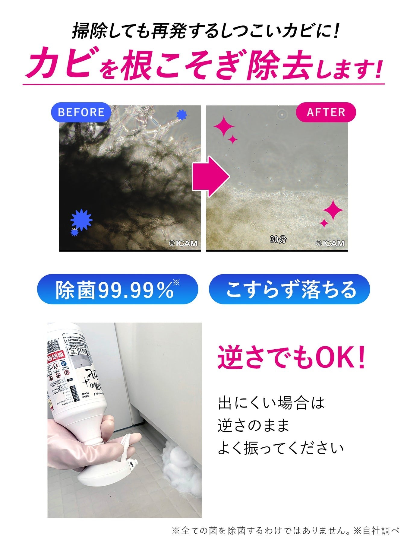 【オリジナルゴム手袋付き】年末大掃除根こそぎ５点セット クリーンプラネット