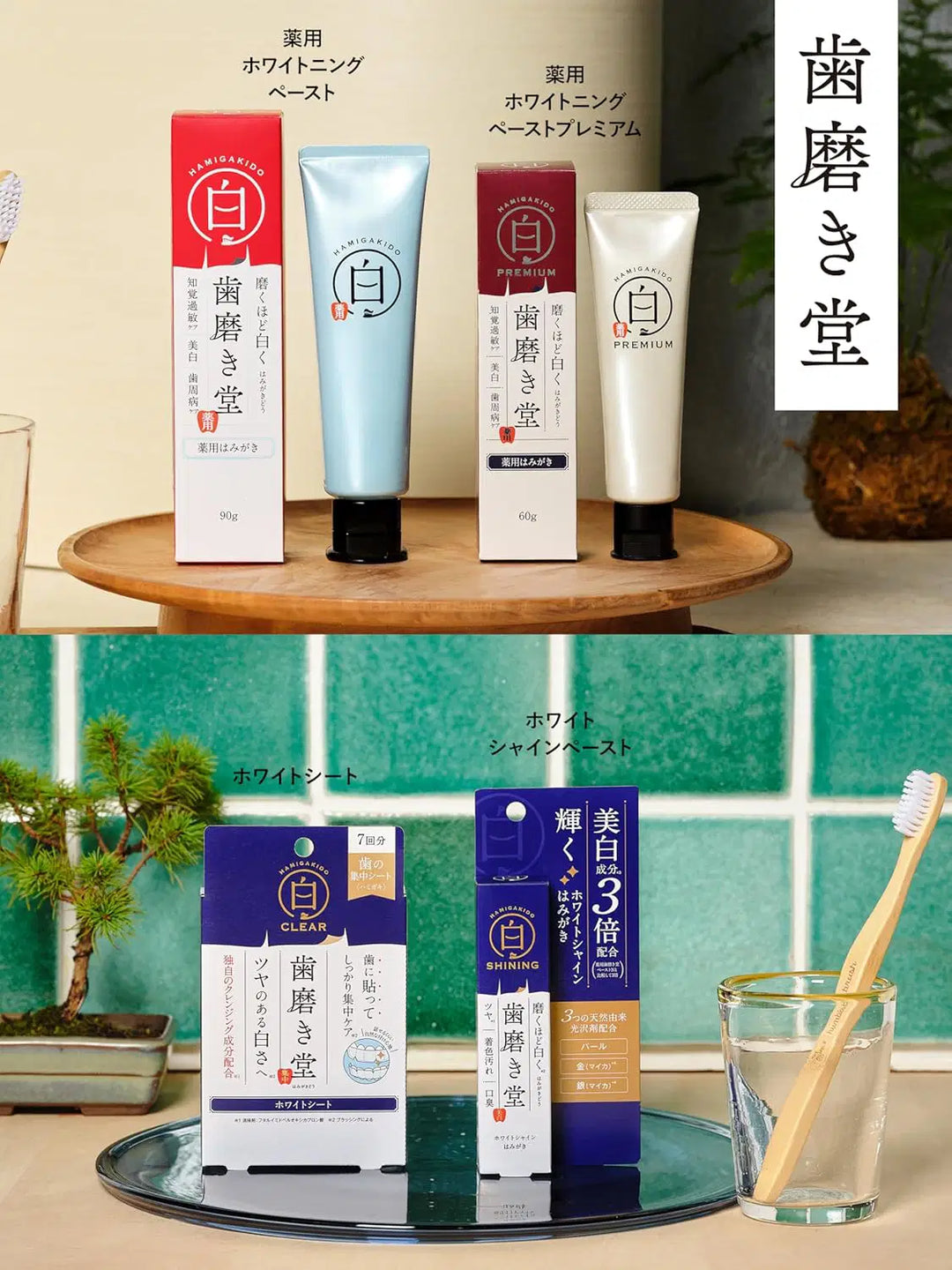 薬用フレッシュペースト【医薬部外品】60g 歯磨き堂