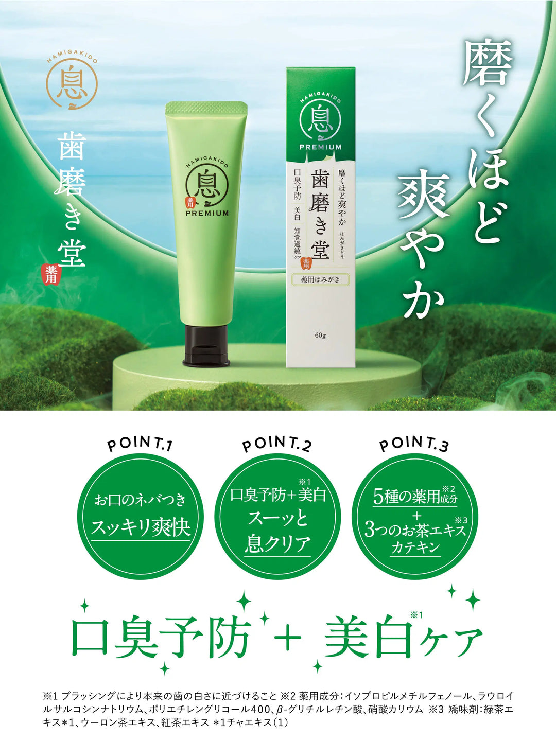 薬用フレッシュペースト【医薬部外品】60g 歯磨き堂