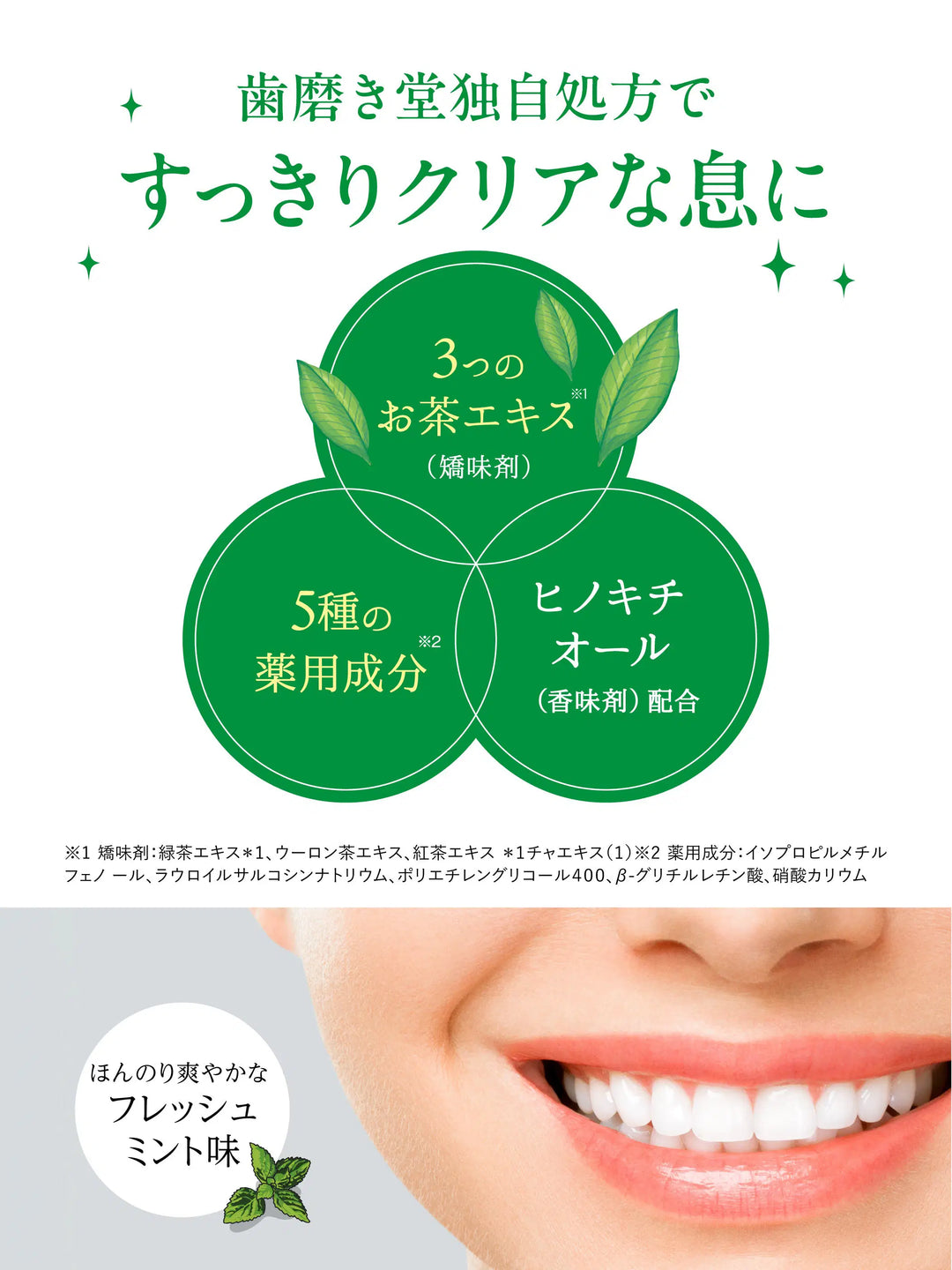 薬用フレッシュペースト【医薬部外品】60g 歯磨き堂