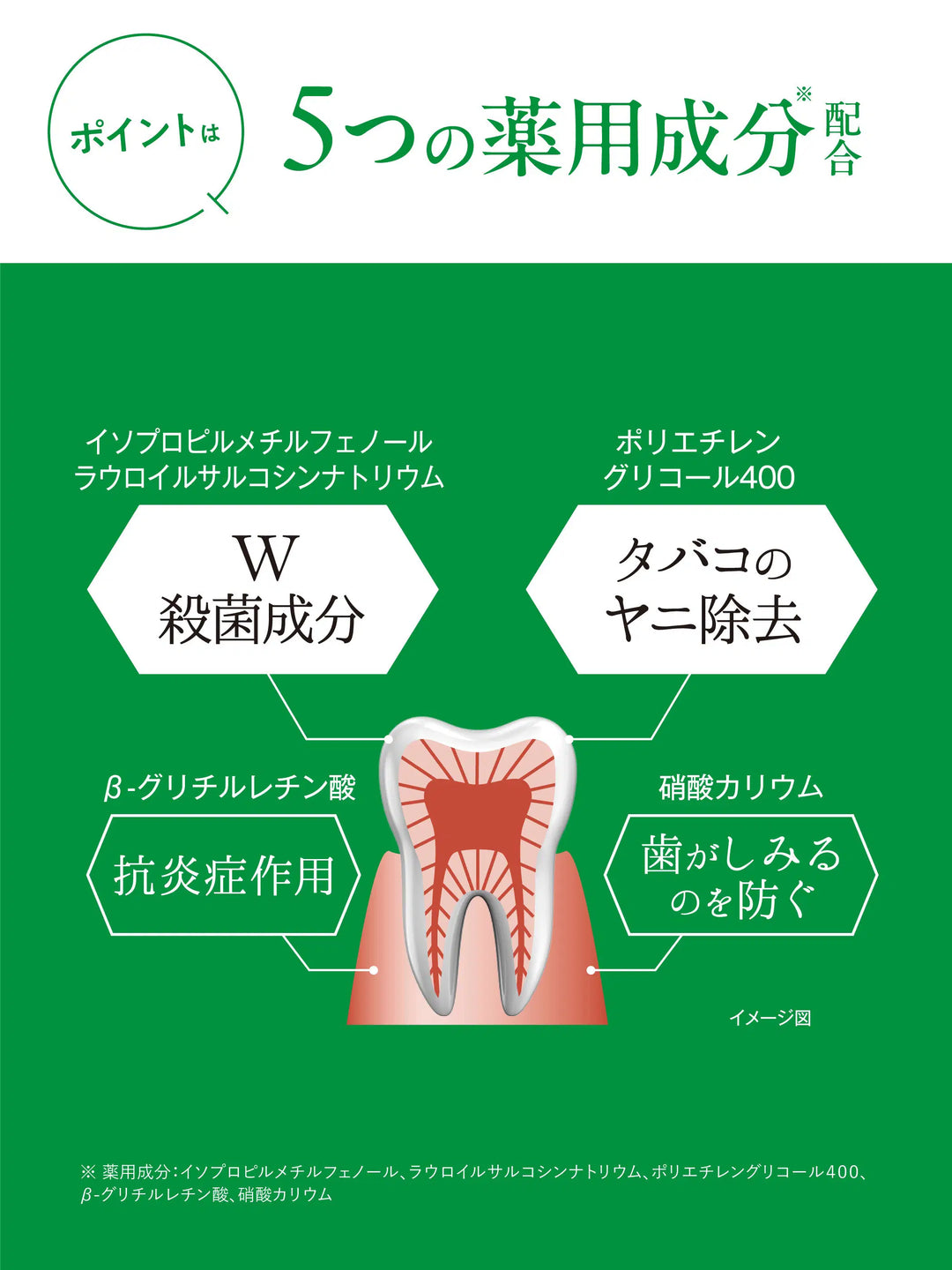 薬用フレッシュペースト【医薬部外品】60g 歯磨き堂