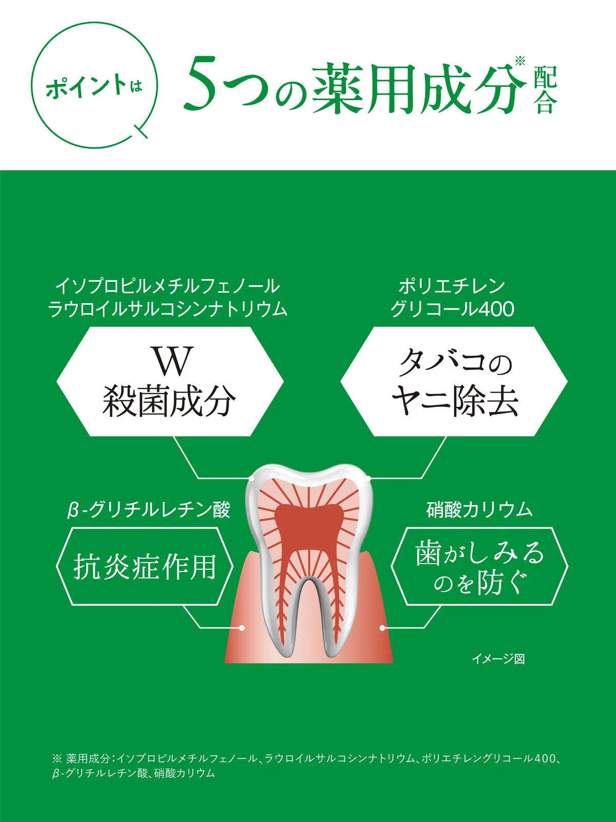 薬用フレッシュペースト【医薬部外品】60g 歯磨き堂