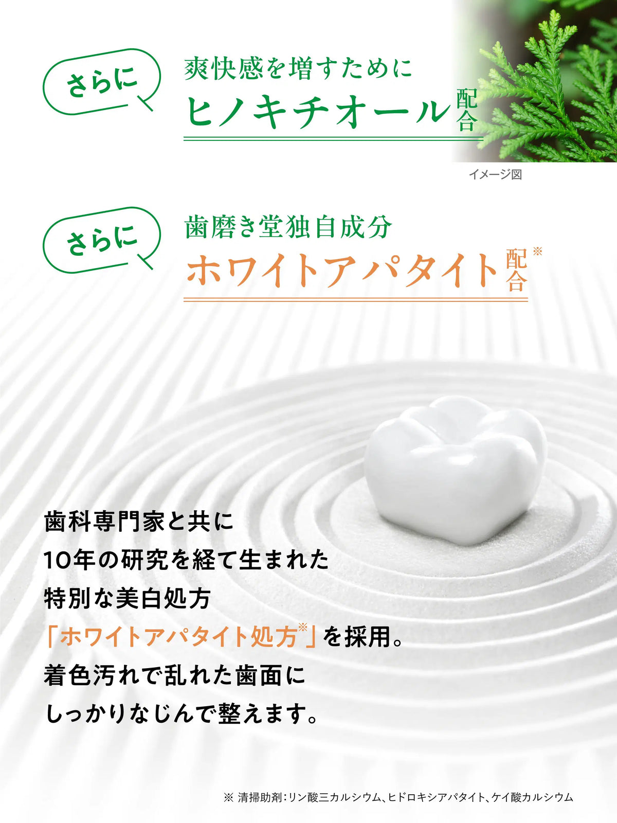 薬用フレッシュペースト【医薬部外品】60g 歯磨き堂