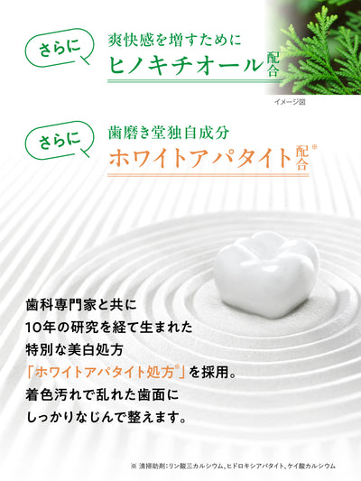 薬用フレッシュペースト【医薬部外品】60g 歯磨き堂
