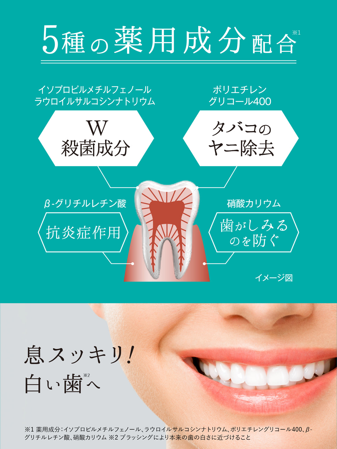 薬用フレッシュペースト スーパーミント【医薬部外品】60g 歯磨き堂