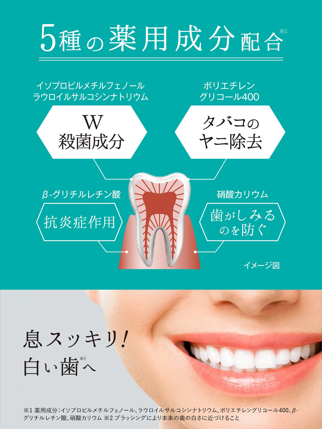 薬用フレッシュペースト スーパーミント【医薬部外品】60g 歯磨き堂