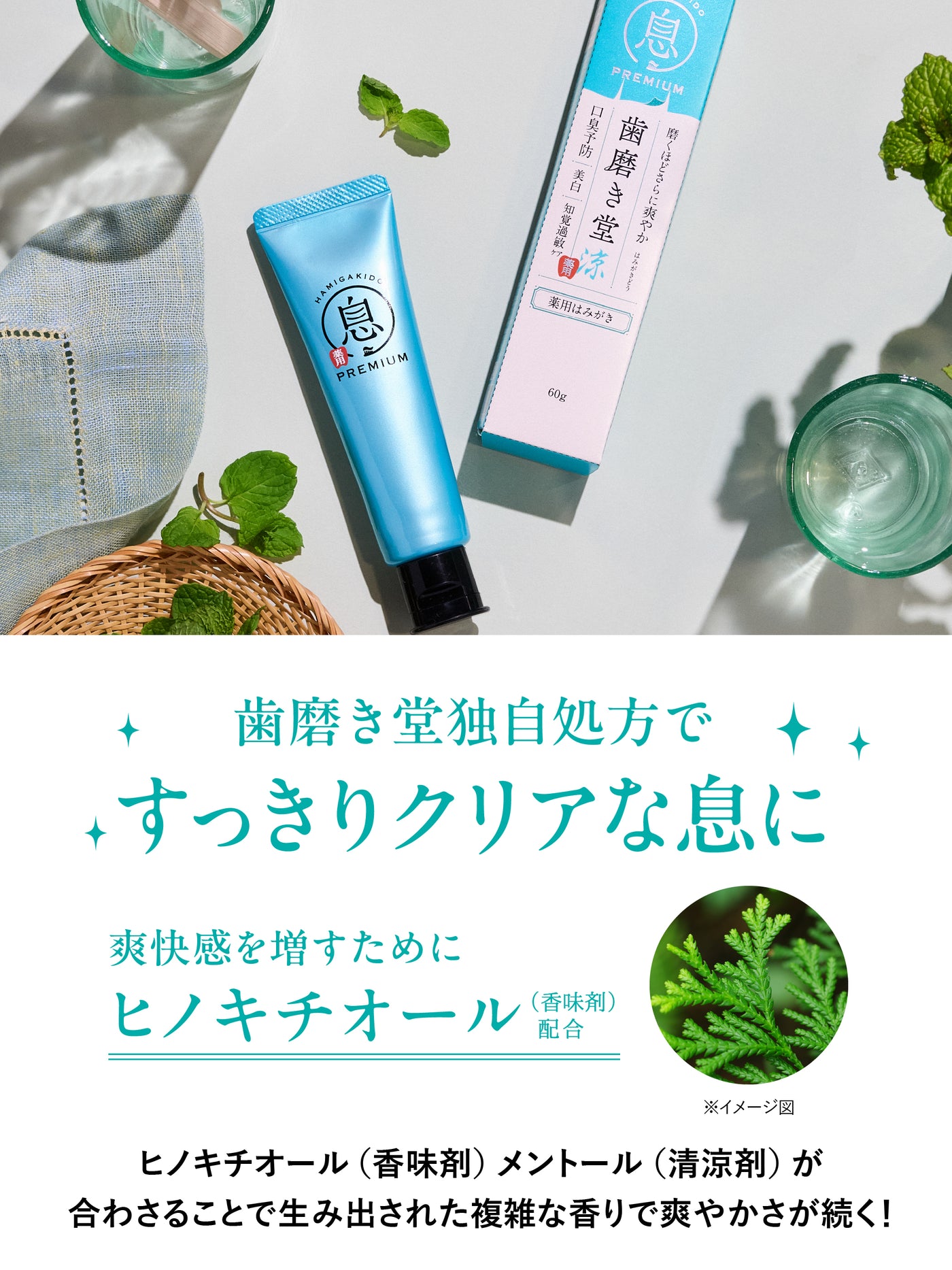 薬用フレッシュペースト スーパーミント【医薬部外品】60g 歯磨き堂