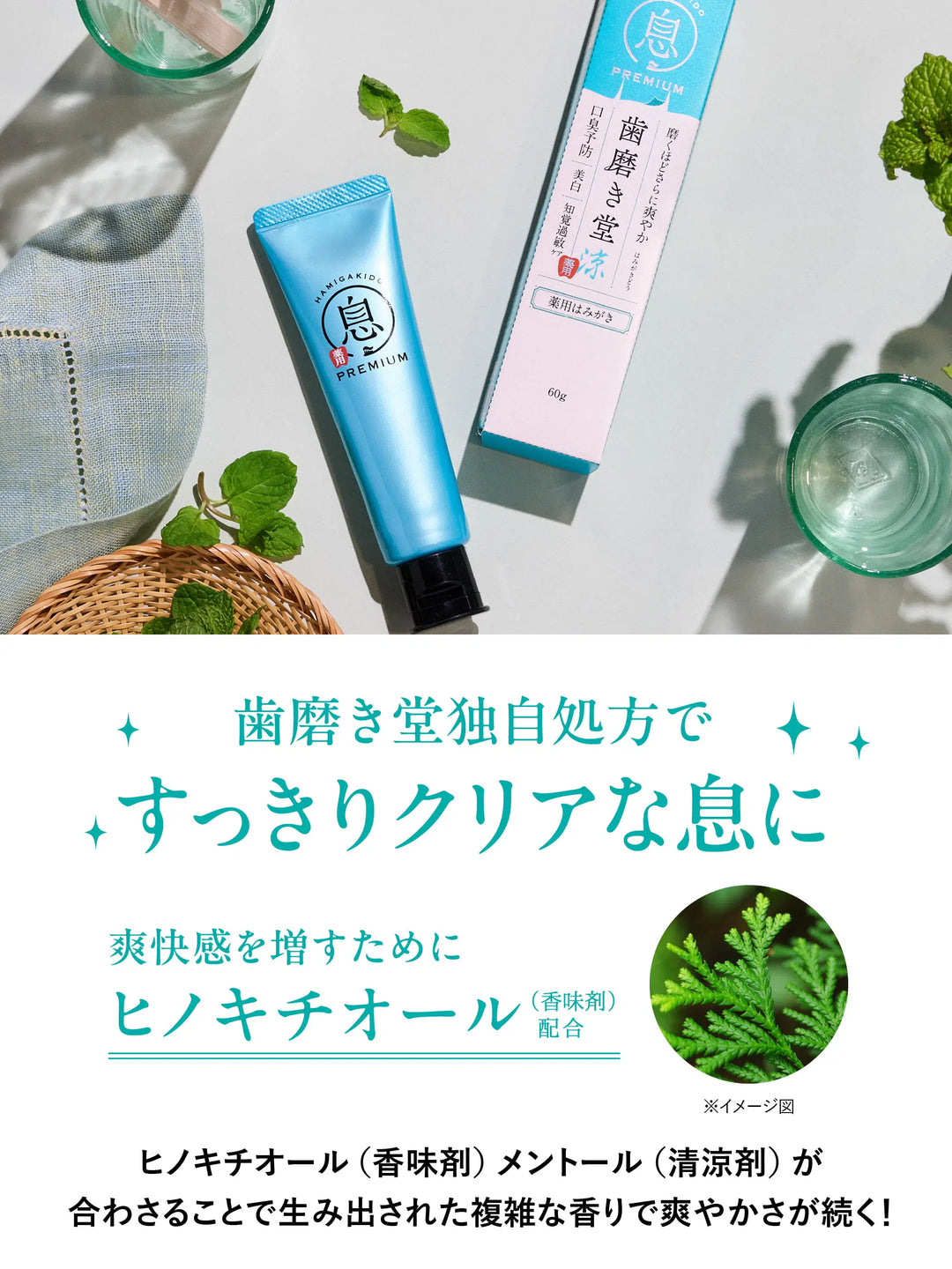 薬用フレッシュペースト スーパーミント【医薬部外品】60g 歯磨き堂