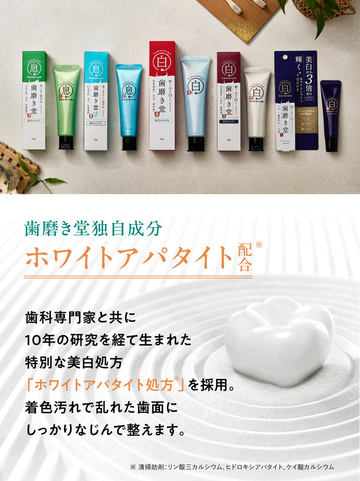 薬用フレッシュペースト スーパーミント【医薬部外品】60g 歯磨き堂