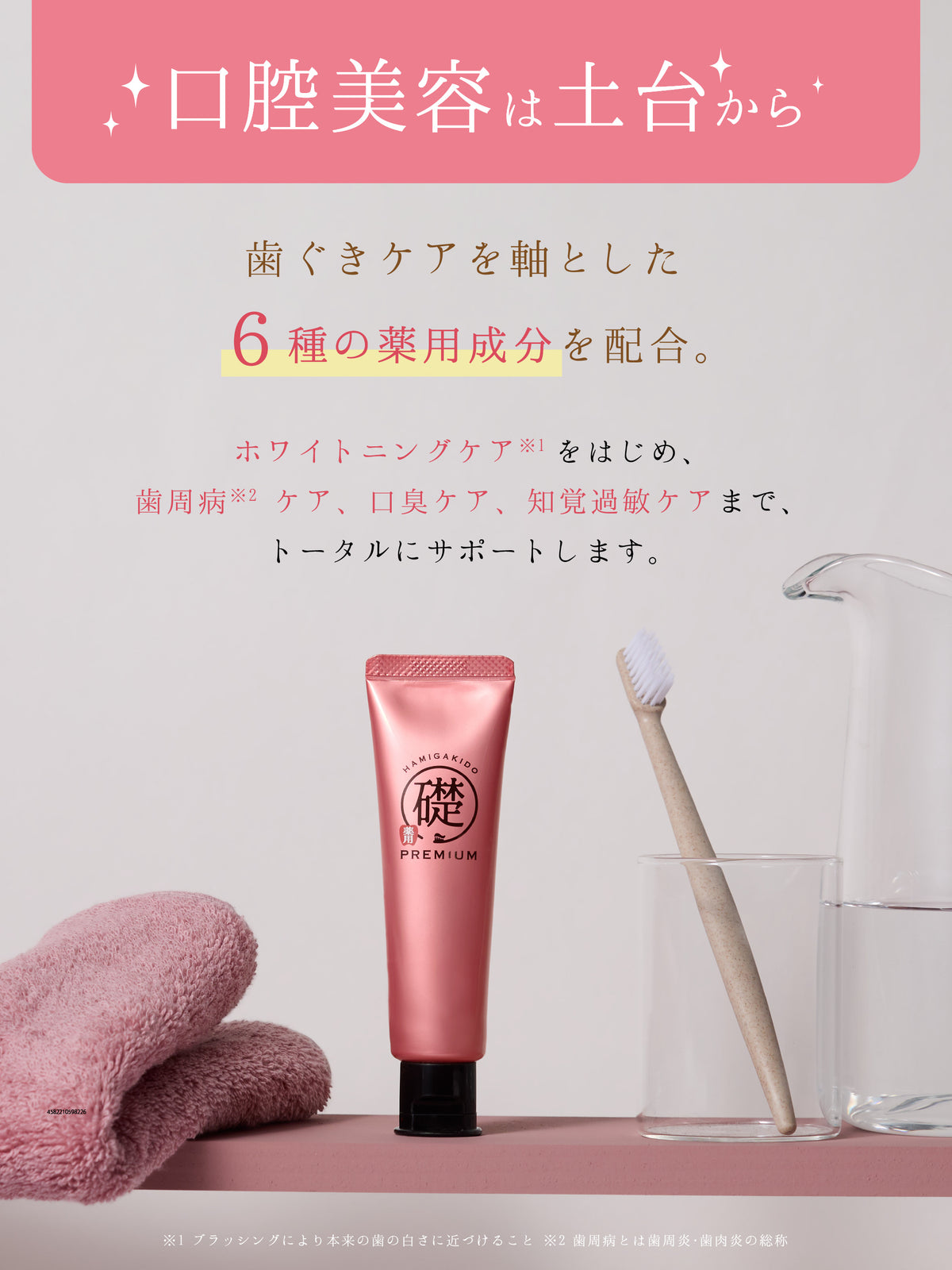 薬用ハグキデンタルペースト【医薬部外品】 60G 歯磨き堂