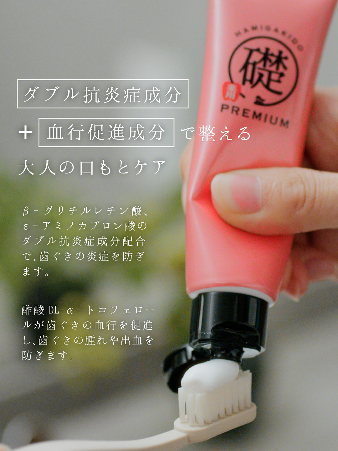薬用ハグキデンタルペースト【医薬部外品】 60G 歯磨き堂