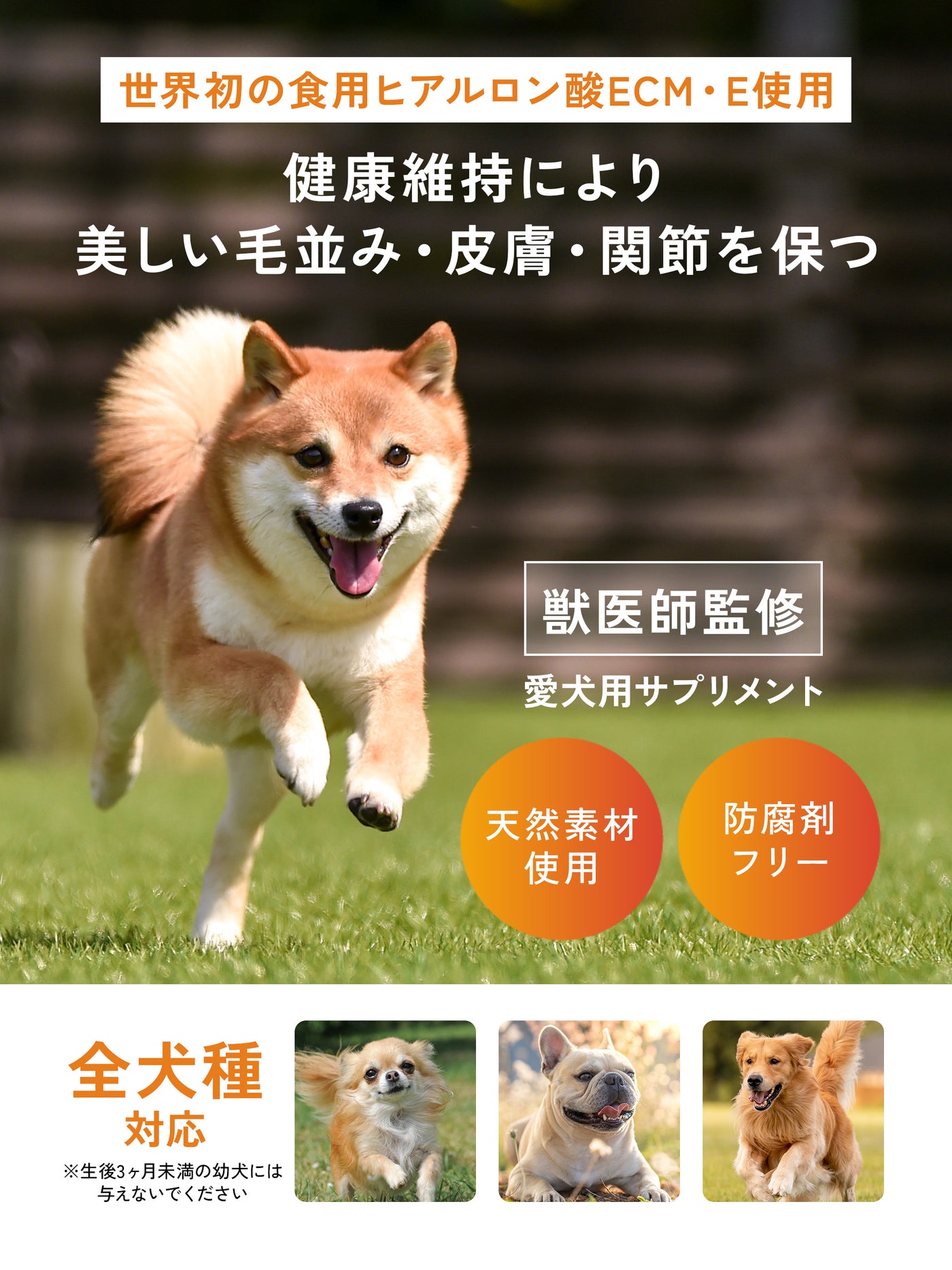 【お試しサイズ・送料無料・犬用】ECM・Eヒアルロン酸 パウダーサプリメント iiwell（イイウェル）  7g　※お一人様1回までの購入