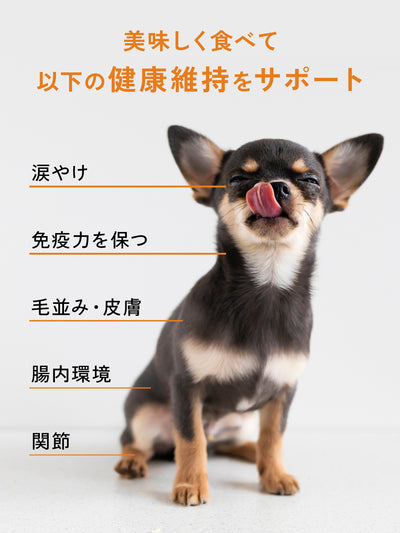 【お試しサイズ・送料無料・犬用】ECM・Eヒアルロン酸 パウダーサプリメント iiwell（イイウェル）  7g　※お一人様1回までの購入