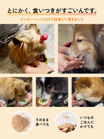 犬用 パウダーサプリメント ECM-Eヒアルロン酸 iiwell 60g イイウェル