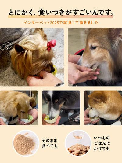 【お試しサイズ・送料無料・犬用】ECM・Eヒアルロン酸 パウダーサプリメント iiwell（イイウェル）  7g　※お一人様1回までの購入