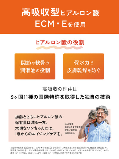 【お試しサイズ・送料無料・犬用】ECM・Eヒアルロン酸 パウダーサプリメント iiwell（イイウェル）  7g　※お一人様1回までの購入