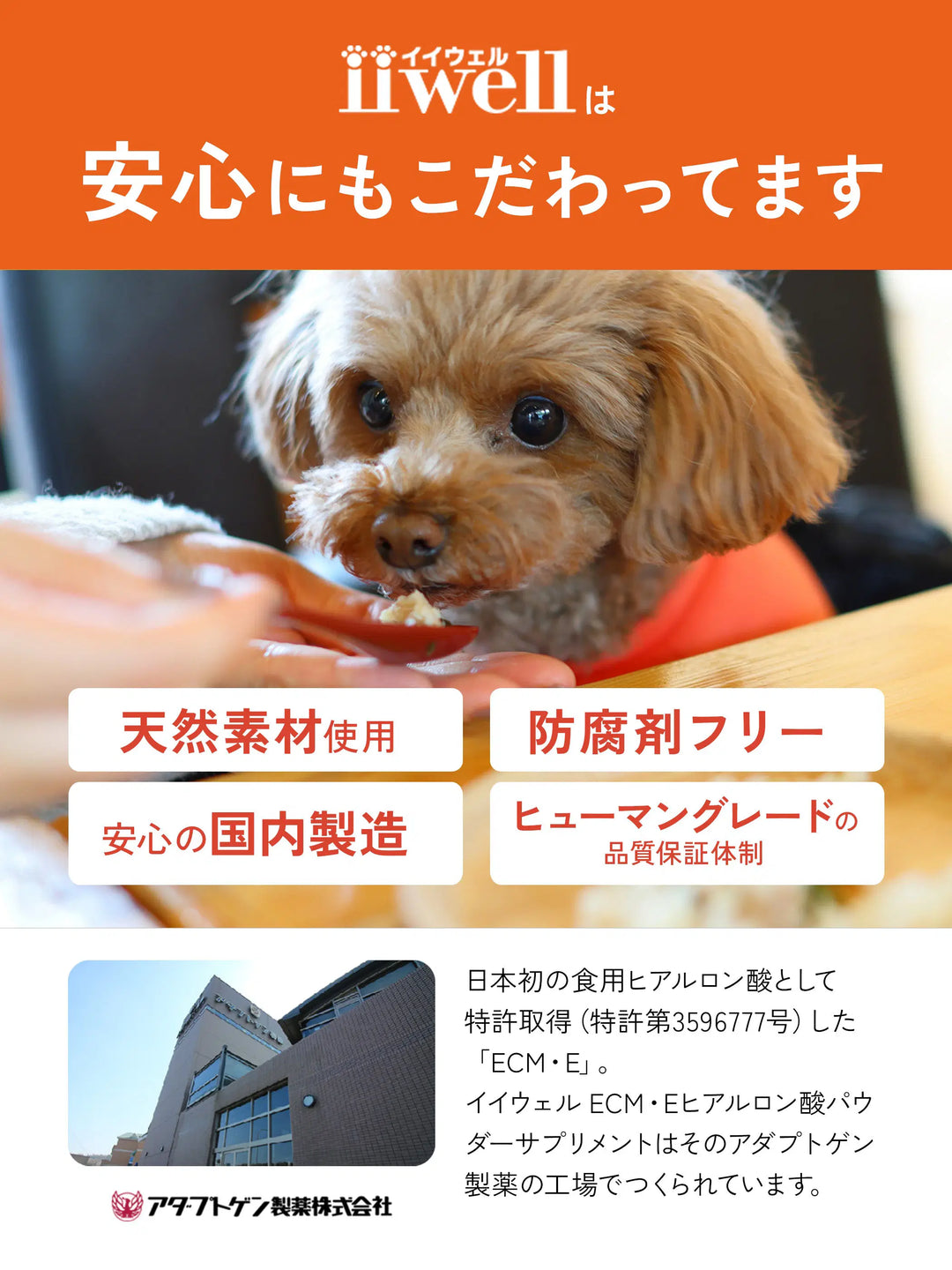 【犬用】ECM・Eヒアルロン酸 パウダーサプリメント 60g iiwell（イイウェル）