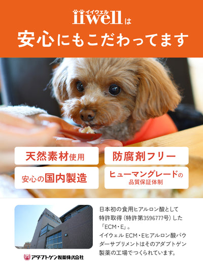 【お試しサイズ・送料無料・犬用】ECM・Eヒアルロン酸 パウダーサプリメント iiwell（イイウェル）  7g　※お一人様1回までの購入
