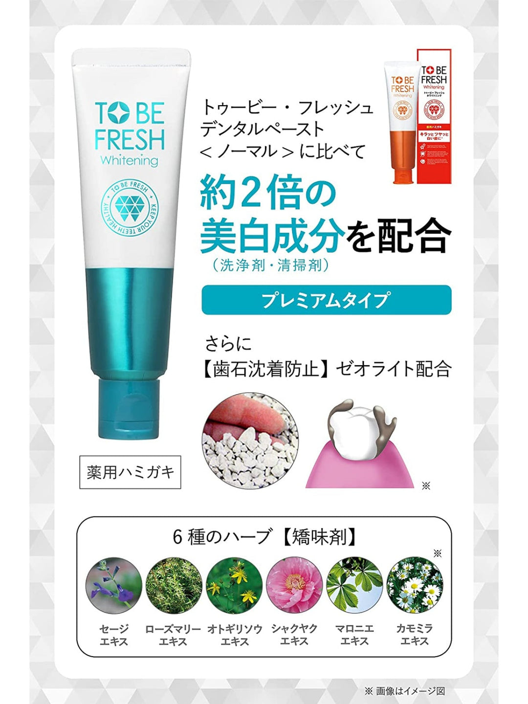 【医薬部外品】 薬用 ホワイトニング プレミアム ハミガキ粉 [美白 口臭予防] トゥービー フレッシュ 60g